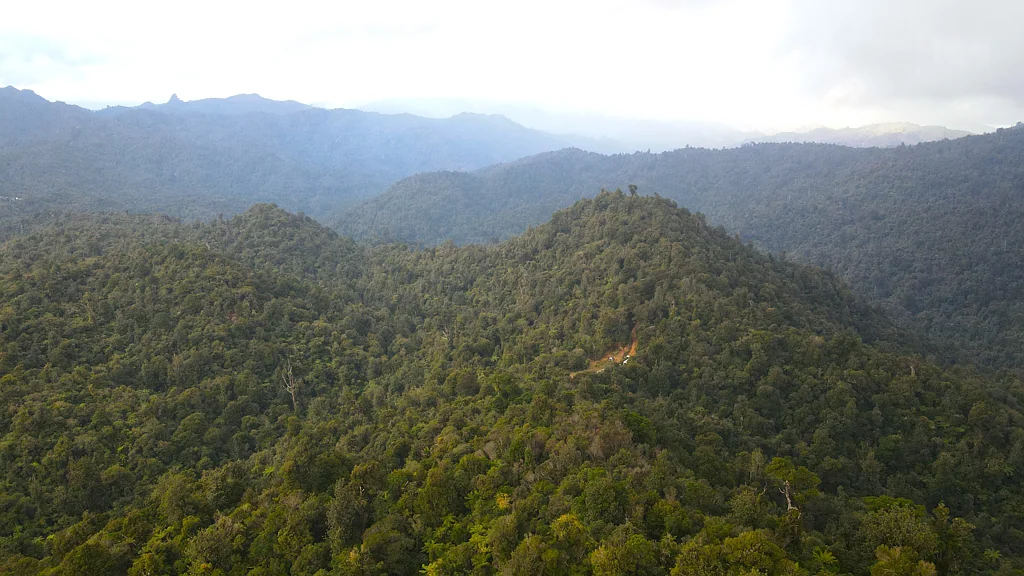 Manaia Views, privacy and native bush
