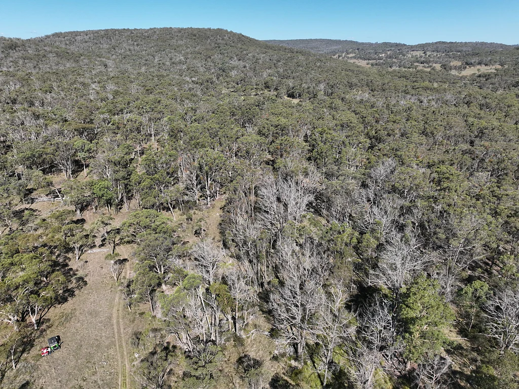 LOT 2 Yarraford Road, Dundee, NSW 2370