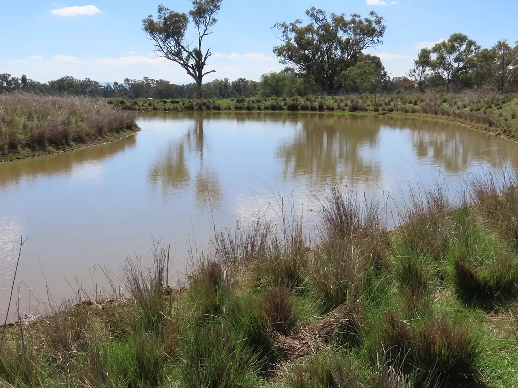 Duri Rural lifestyle in sought after Duri/Gowrie area