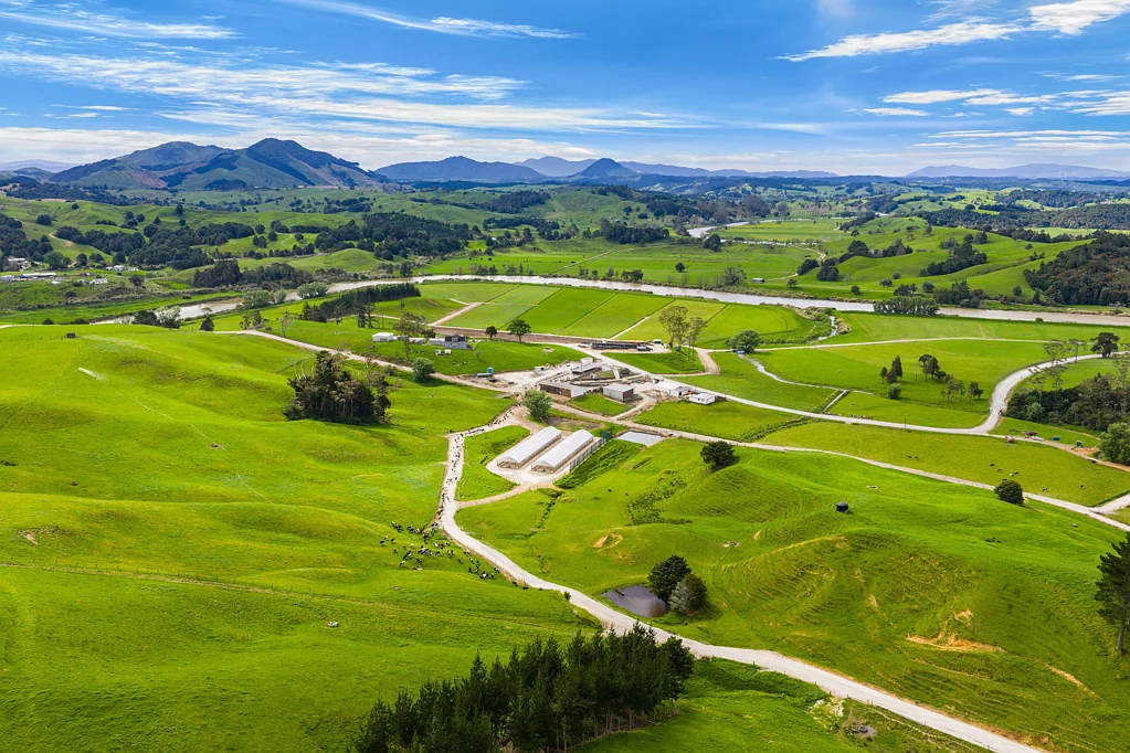 Tangiteroria 245ha dairy farm with scale and infrastructure
