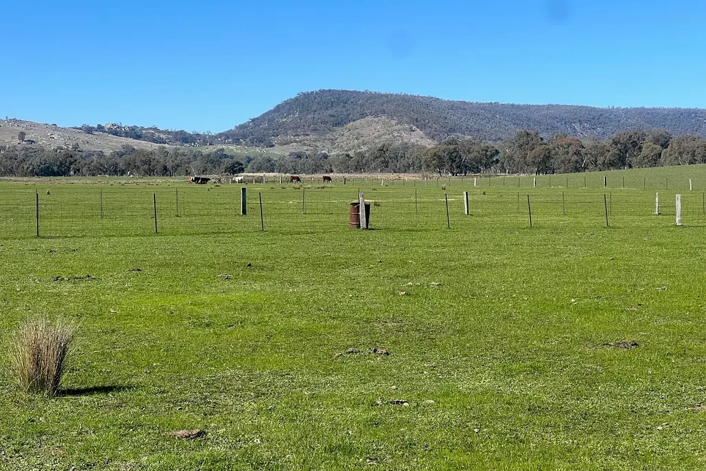 Indigo Valley Great Grazing Property                            65.2*HA | 161.1*Acres.