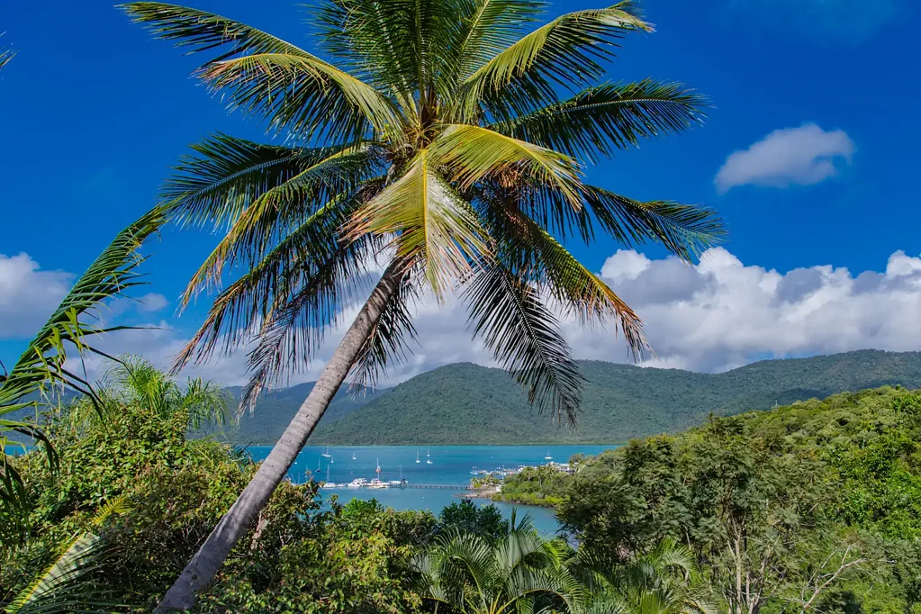 Shute Harbour 2कमरा Tropical Retreat with Harbour Views