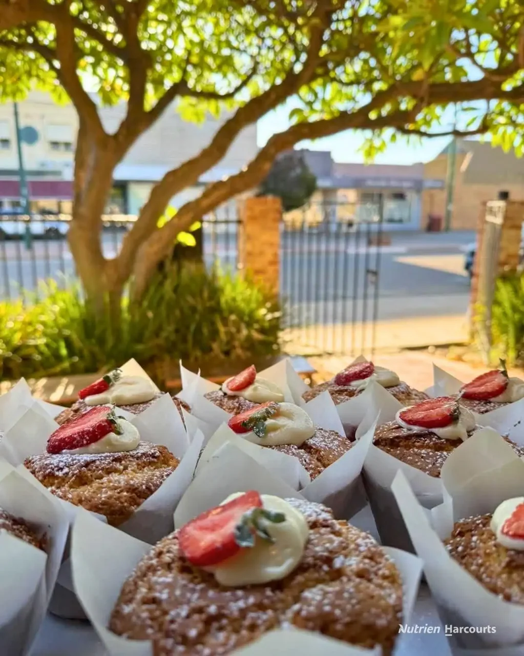 Merredin 1ਬੈੱਡਰੂਮ Profitable & Beloved Local Cafe - Heartland of the WA Wheatbelt