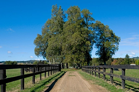 Rural  Mixed Rural Zone