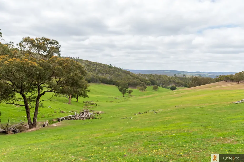 Whittlesea  WOW ! - 112.7 ha ( 280 acres ) approx. with Planning Permit