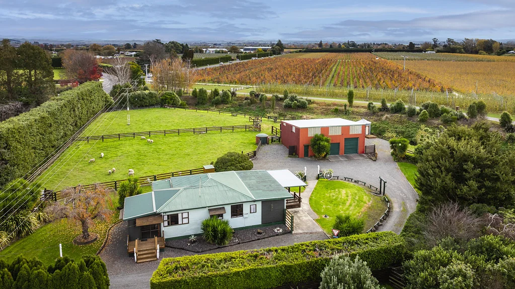 Havelock North 3房  Equestrian Lifestyle With Exceptional Shedding