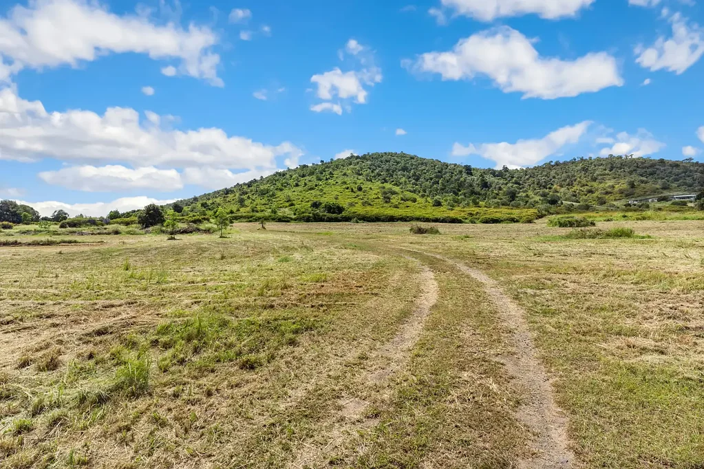 29 Toonda Road, Marmor, QLD 4702