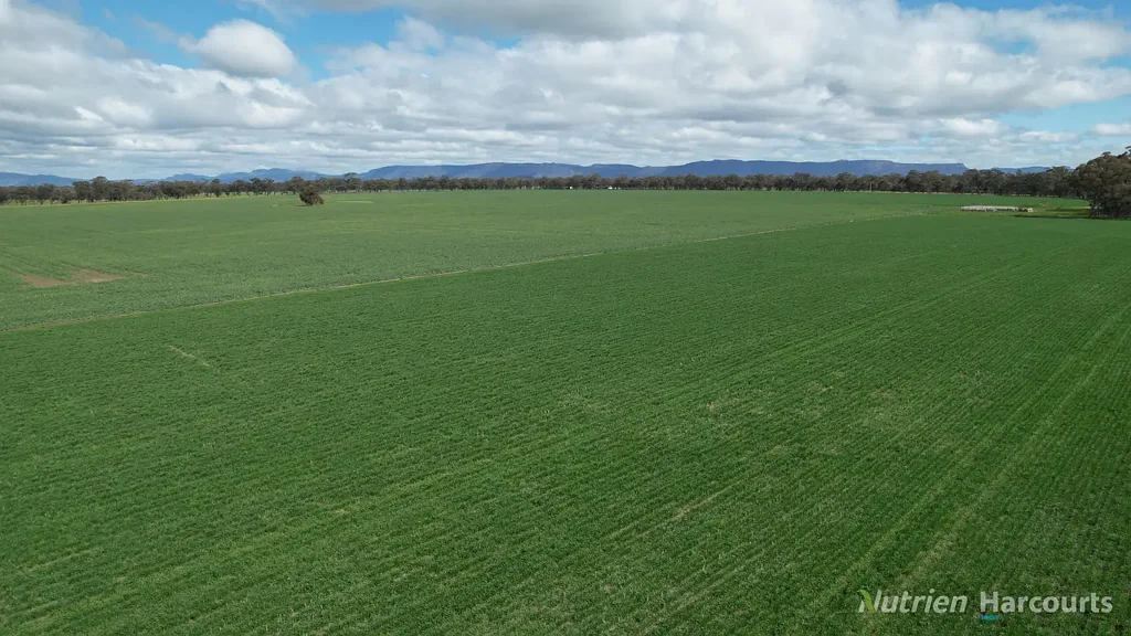 Glenorchy A Rare Agricultural Offering with cropping headstart - 670 acres