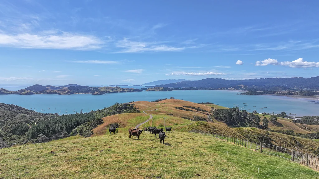 Coromandel Home and income with breathtaking views