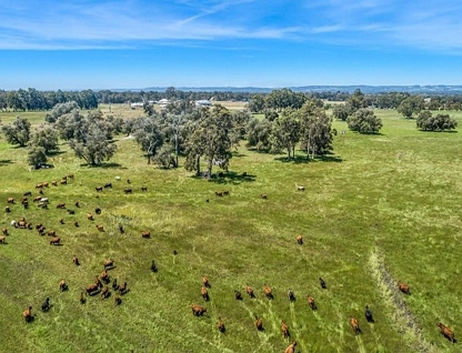 Proposed/Lot 116 Garvey Rd Dardanup Meadows, Crooked Brook, Bunbury, 0 침실, 0 욕실, Lifestyle Property