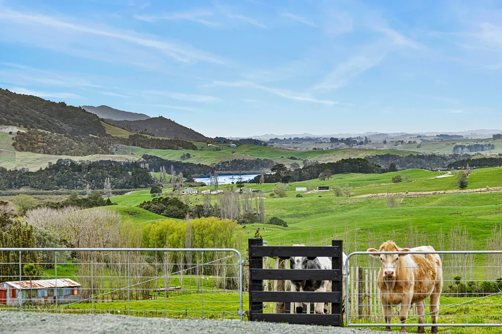 Maungaturoto A Special Lifestyle Opportunity