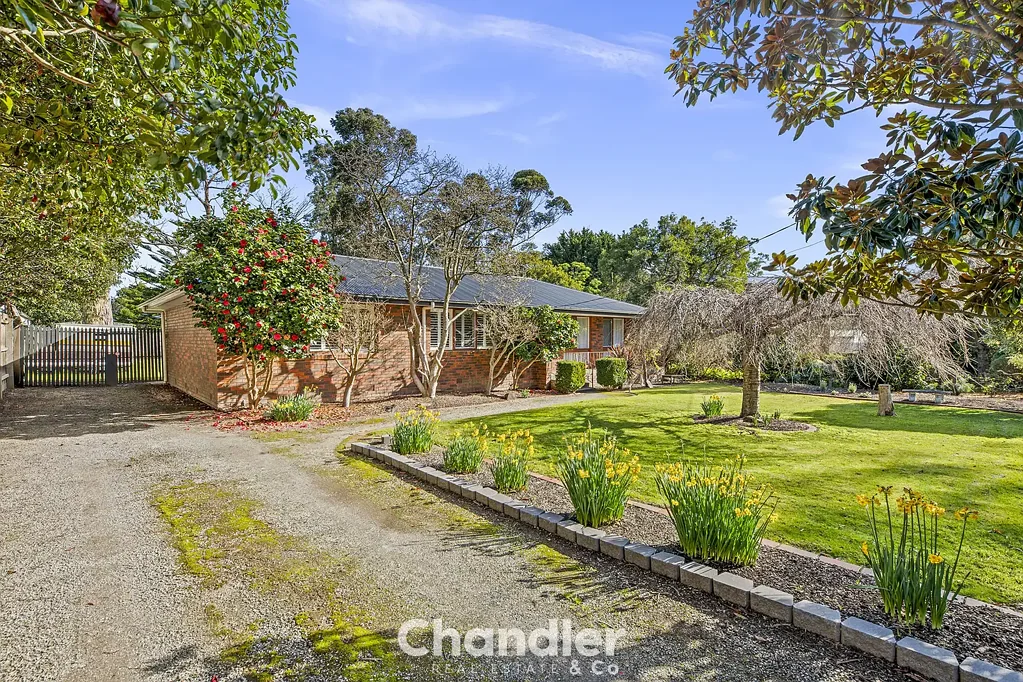 Belgrave South 3房 宽敞空间、明媚阳光与卓越家庭魅力 Space, Sunshine & Exceptional Family Appeal