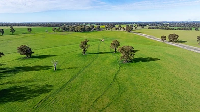. Murray Valley Highway, Norong, VIC 3682, 0 slaapkamers, 0 badkamers, Lifestyle Property