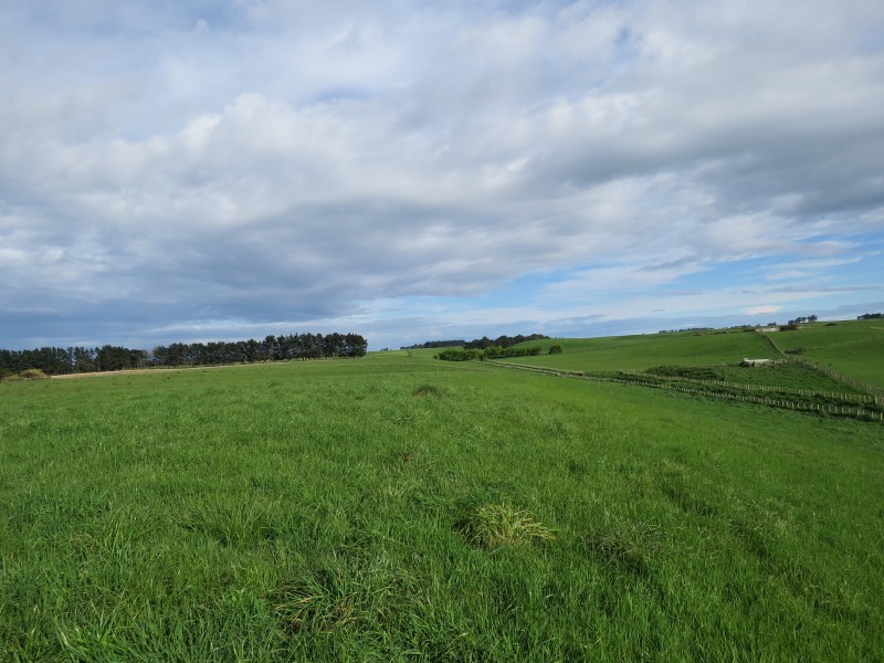 90 Mchardie Road, Bulls, Rangitikei, 0 phòng ngủ, 0 phòng tắm