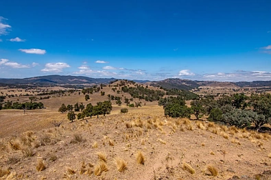 856 Spring Flat Road, Spring Flat, NSW 2850, 0 Bedrooms, 0 Bathrooms, Lifestyle Property