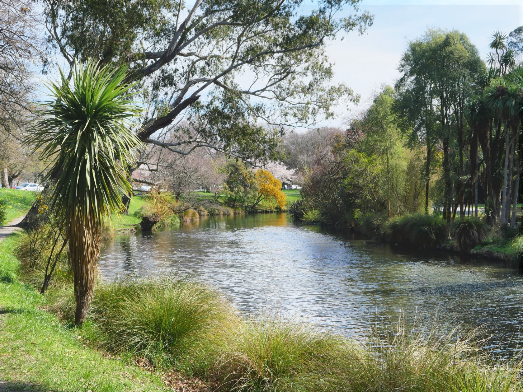 43 Papanui Road, Merivale, Christchurch, 0 Schlafzimmer, 0 Badezimmer