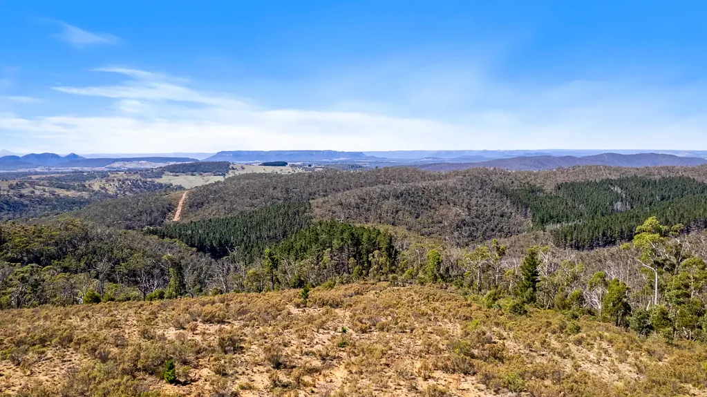 Running Stream  Escape to Nature – 60.5ha Bush Block at Running Stream
