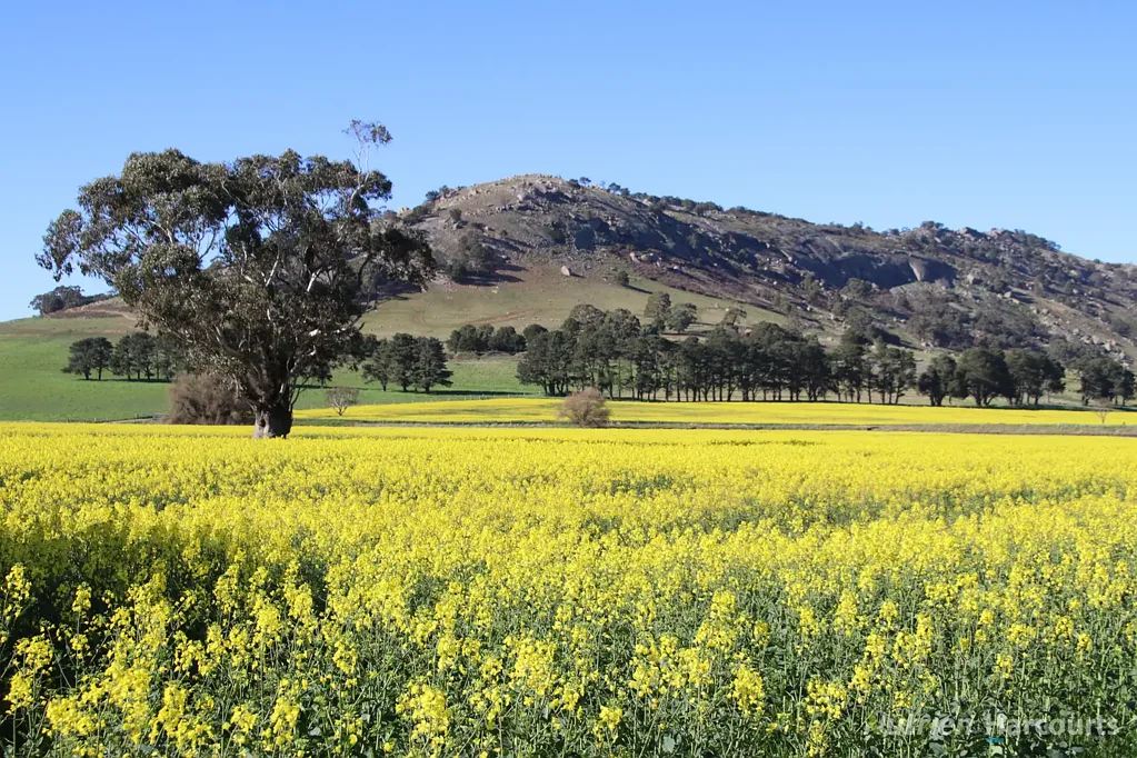 Ercildoune  Magnificent Mixed Farming Opportunity - 194.13 ha (479 acres)