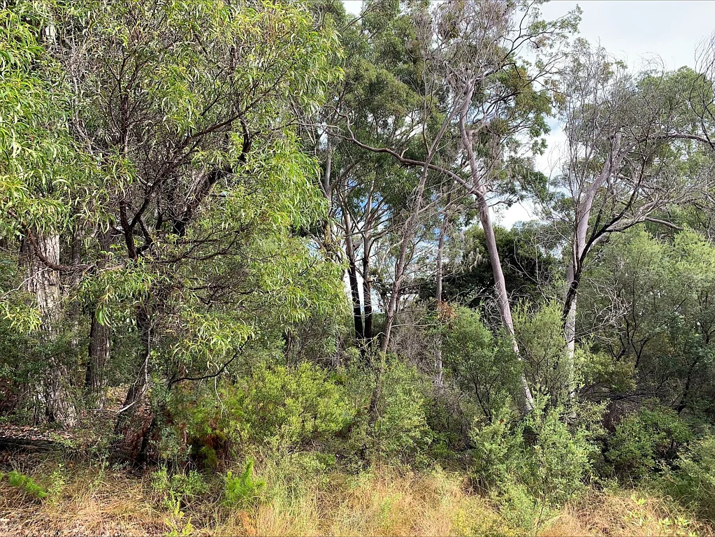 850 Kingfisher Heights Drive, K'Gari, QLD 4581