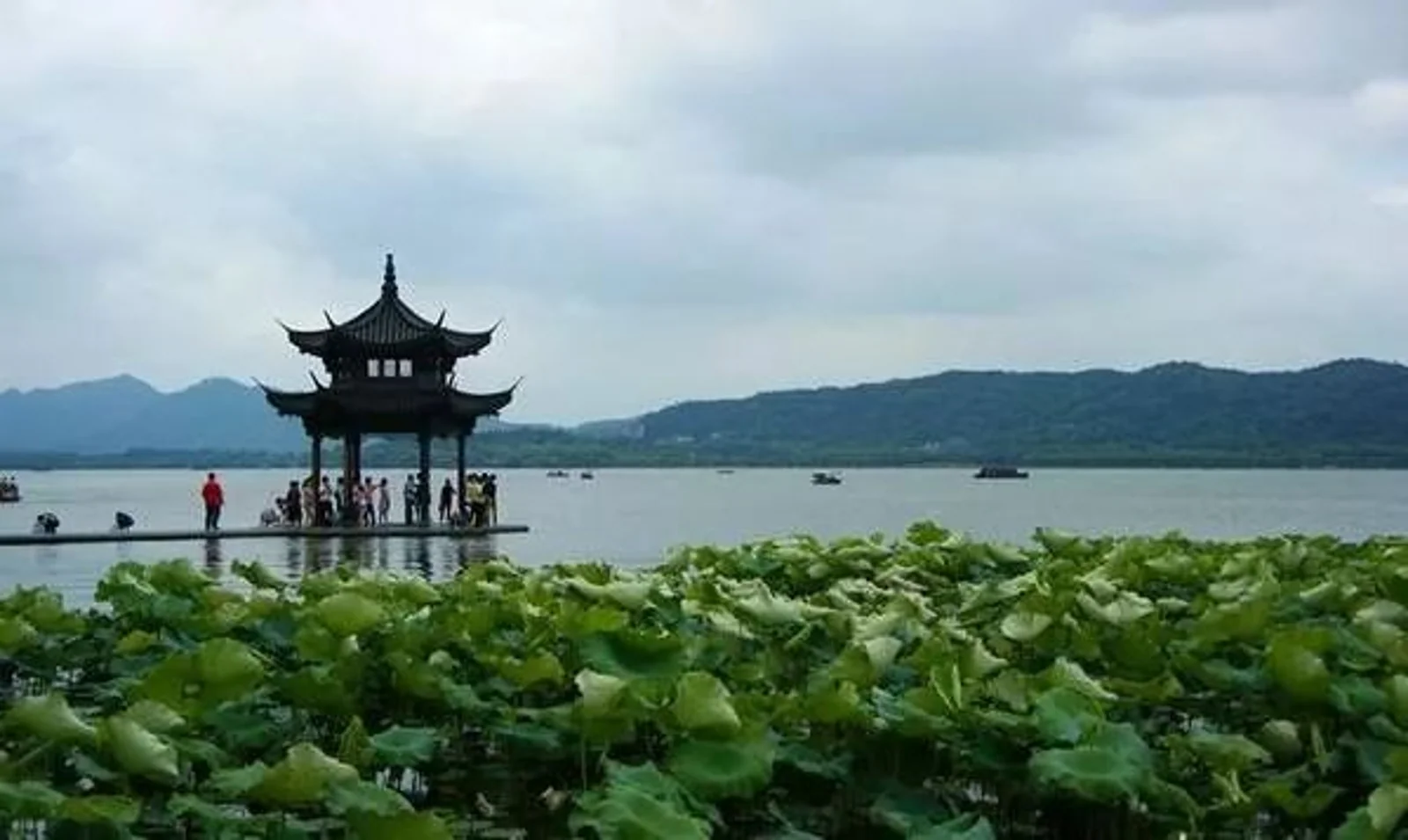 出国后才发现，来自杭州的中国留学生有这么强！