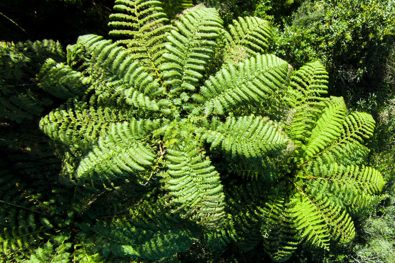 2c Kowhai Street, Ohope, Whakatane, 0 rūma, 0 rūma horoi