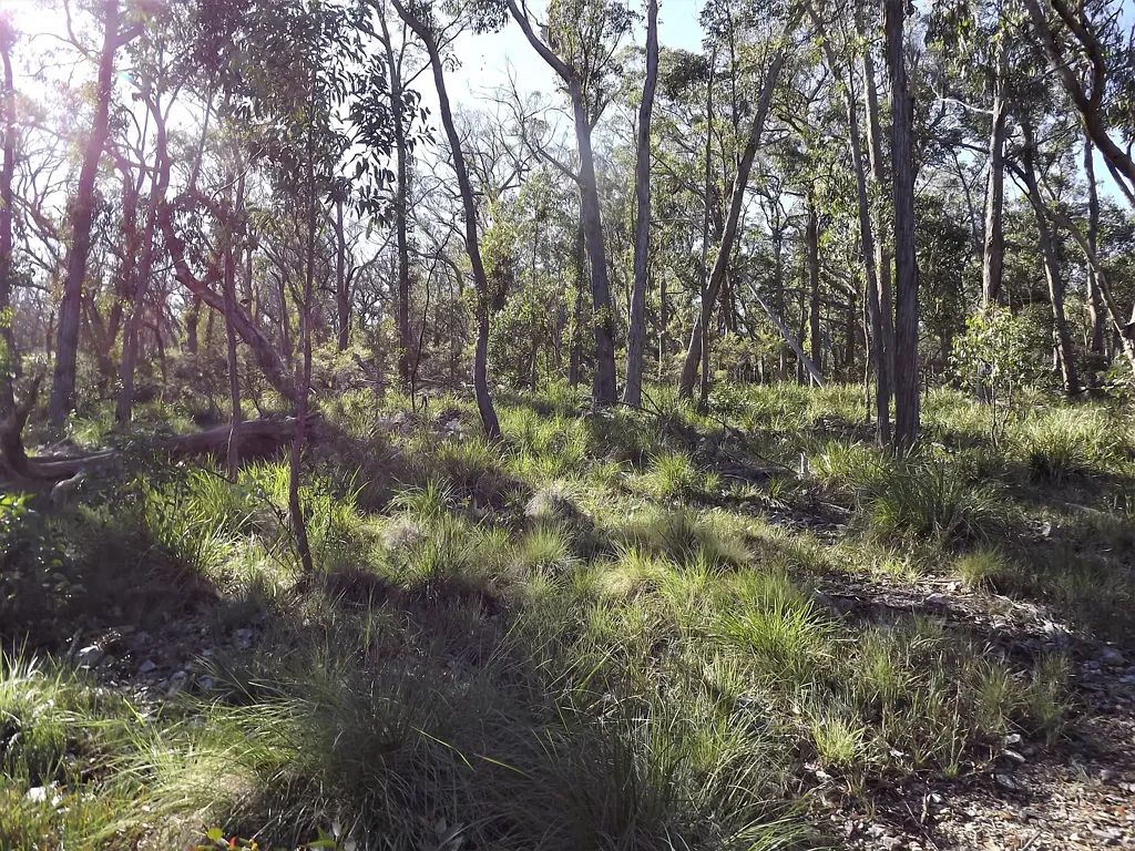 Dundee Lifestyle Block Only 10 Mins From Town