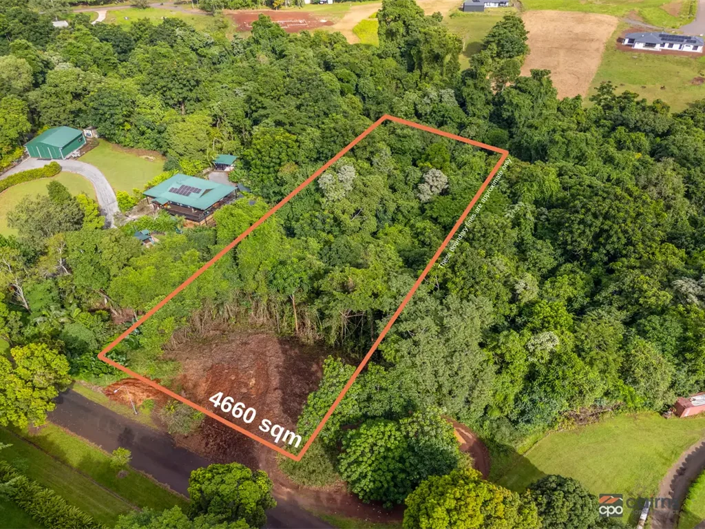 Goldsborough Your Dream Cleared Rainforest Block Awaits