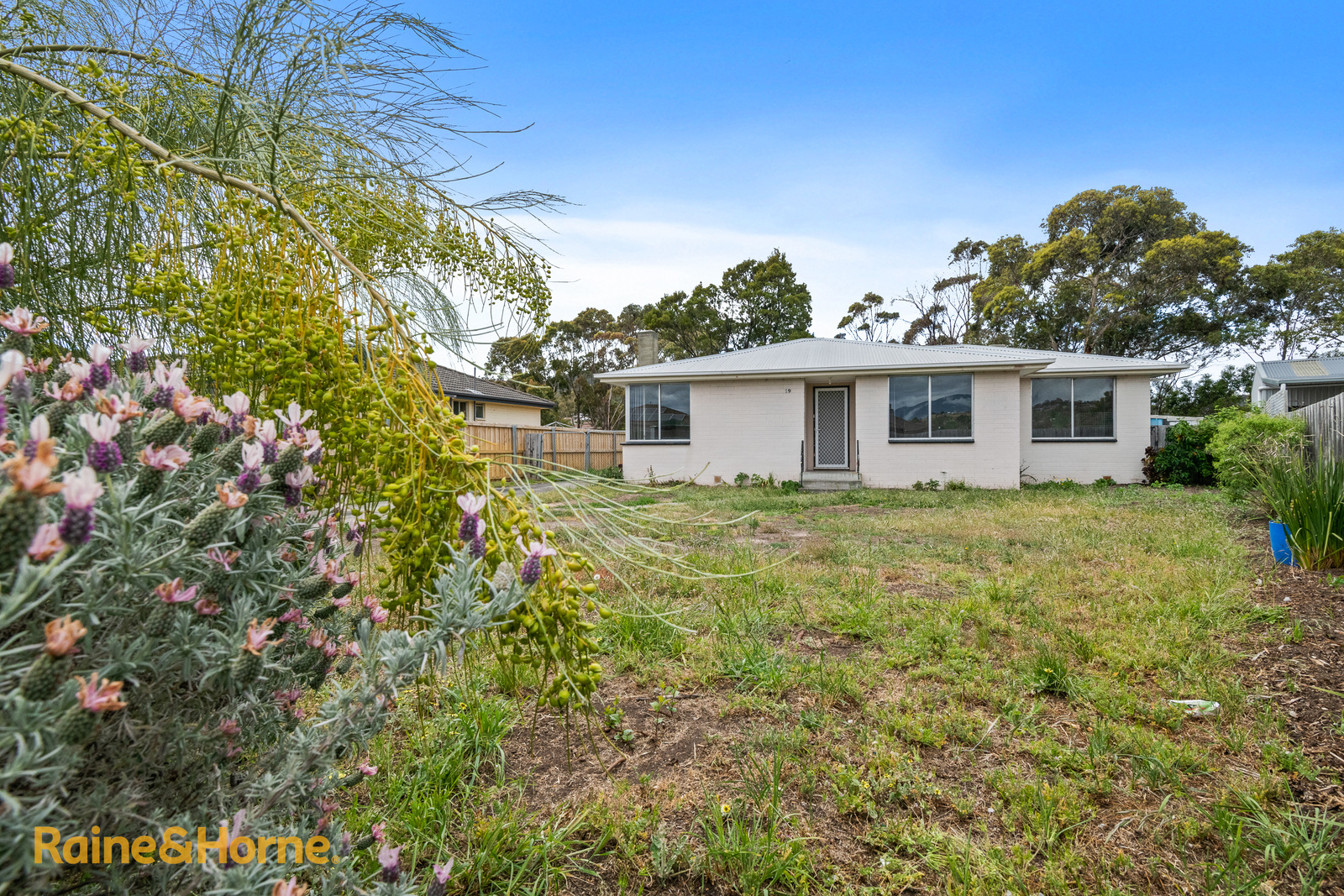 19 SALADIN CIR, CLARENDON VALE TAS 7019, 0房, 0浴, House