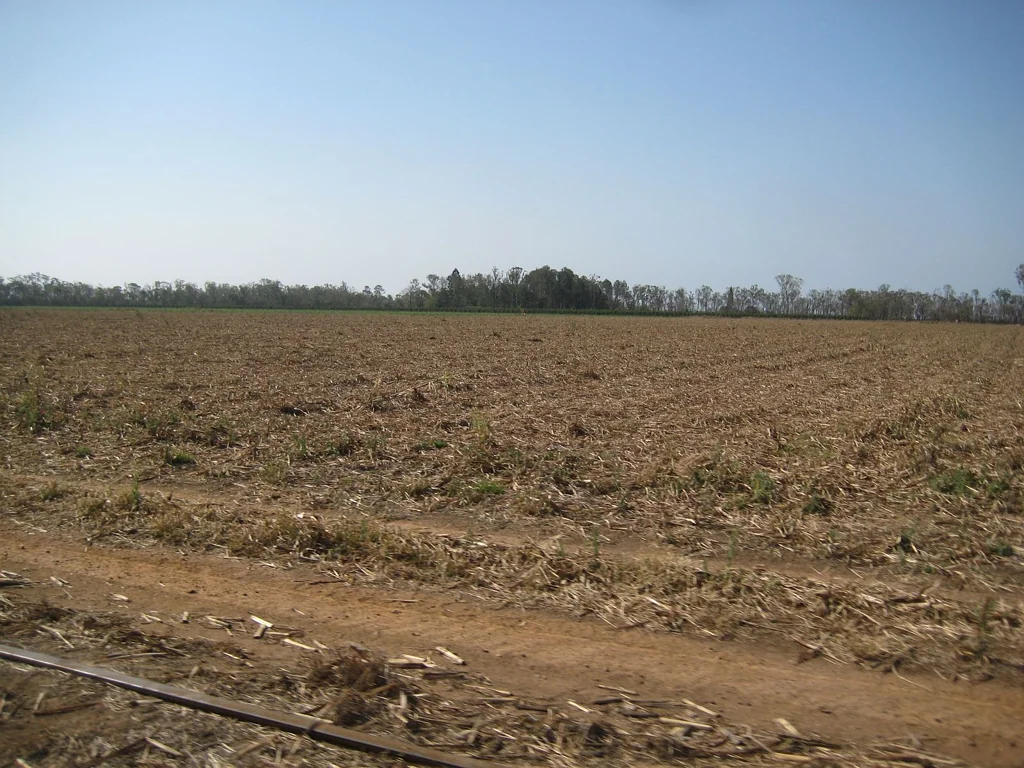 Meadowvale  IRRIGATED FARM WITH GREAT SOIL
