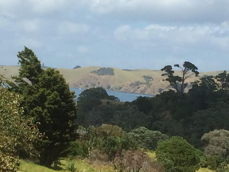 30 South Pacific Road, Rakino Island, Auckland, 0 ਕਮਰੇ, 0 ਬਾਥਰੂਮ