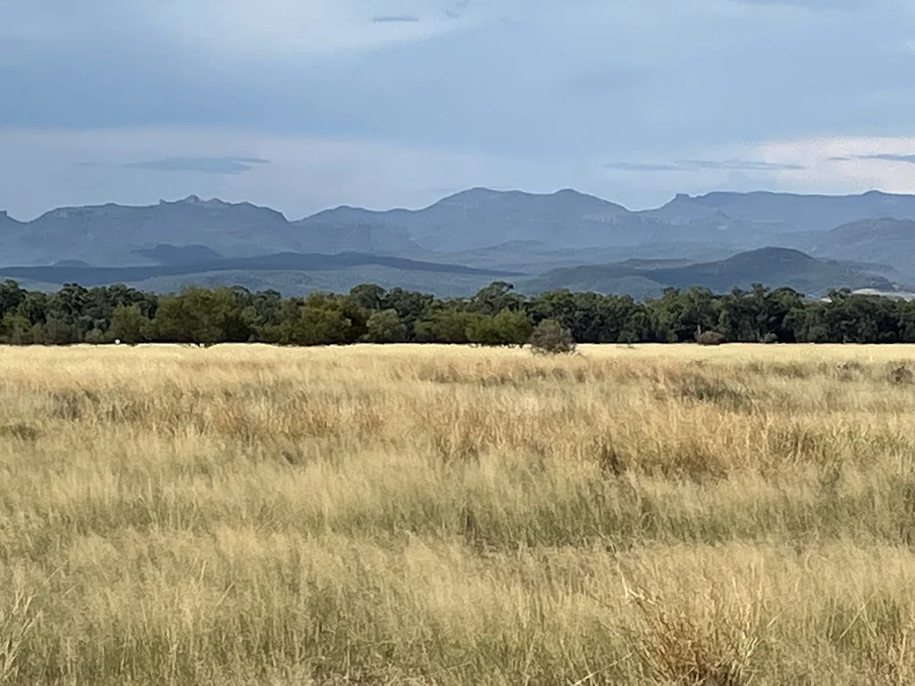 Turrawan Production and stunning views minutes from town.