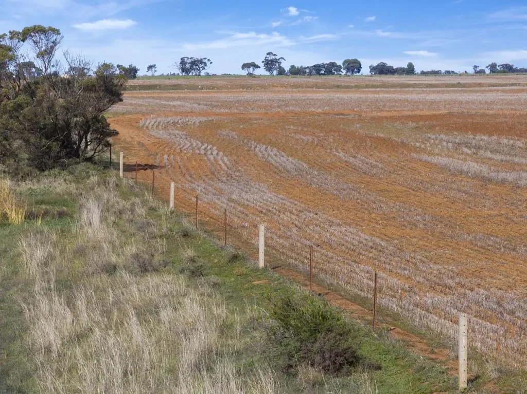 Neales Flat Reliable Cropping Country with Mains Water