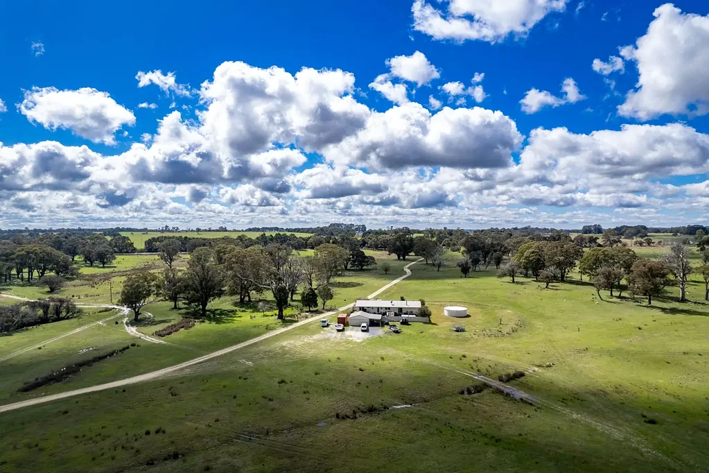 Lost River  “Killarney” – 6906 Boorowa Road, Lost River
443.4 hectares (1,098 acres) – Prime Mixed Farming with Quality Improvements