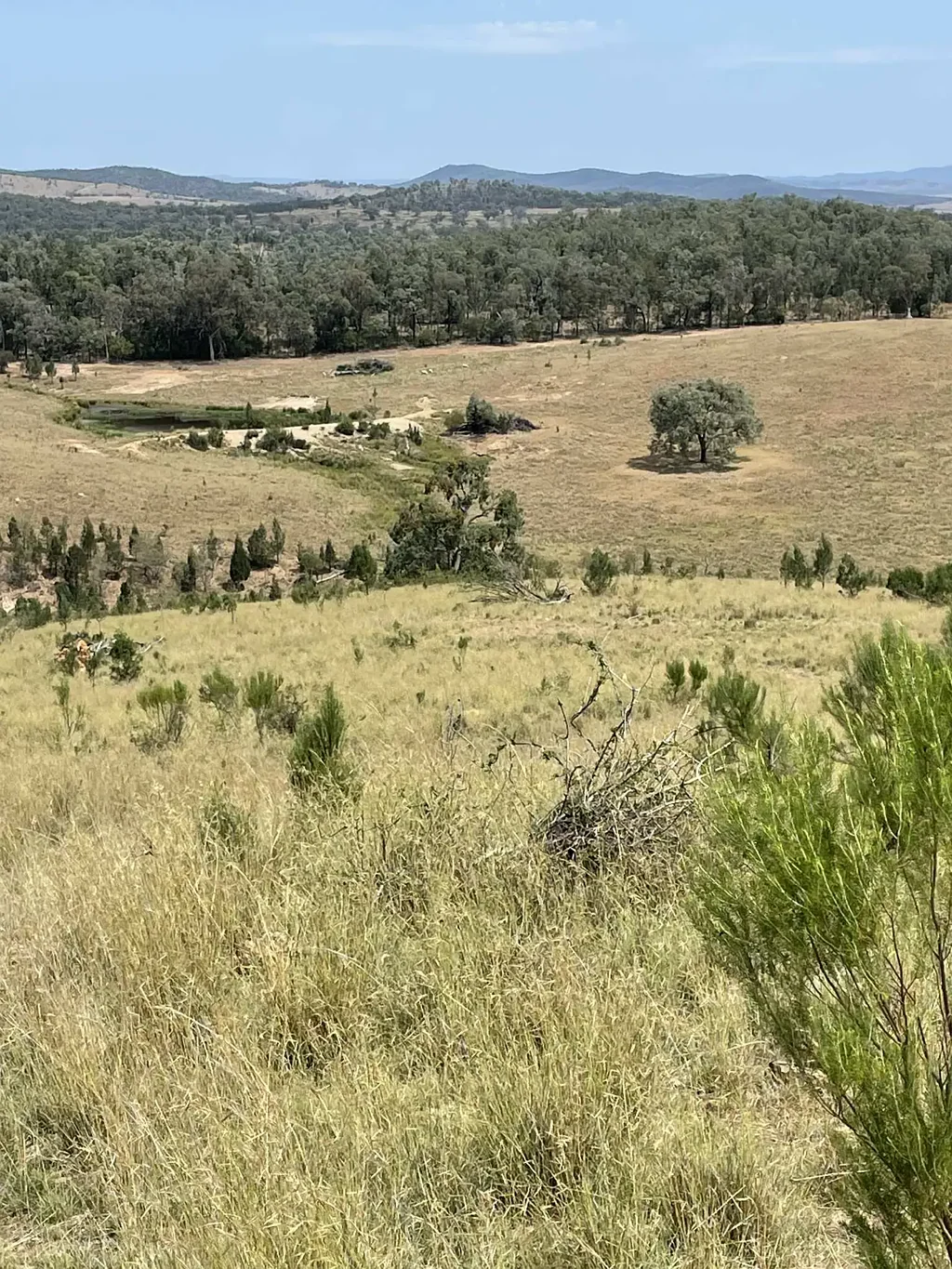 Silver Spur Renowned Grazing Property Silver Spur