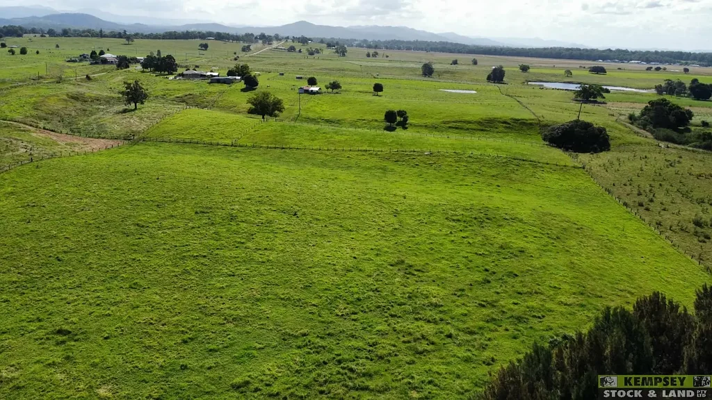 1 Nelsons Wharf Road, Aldavilla, NSW 2440