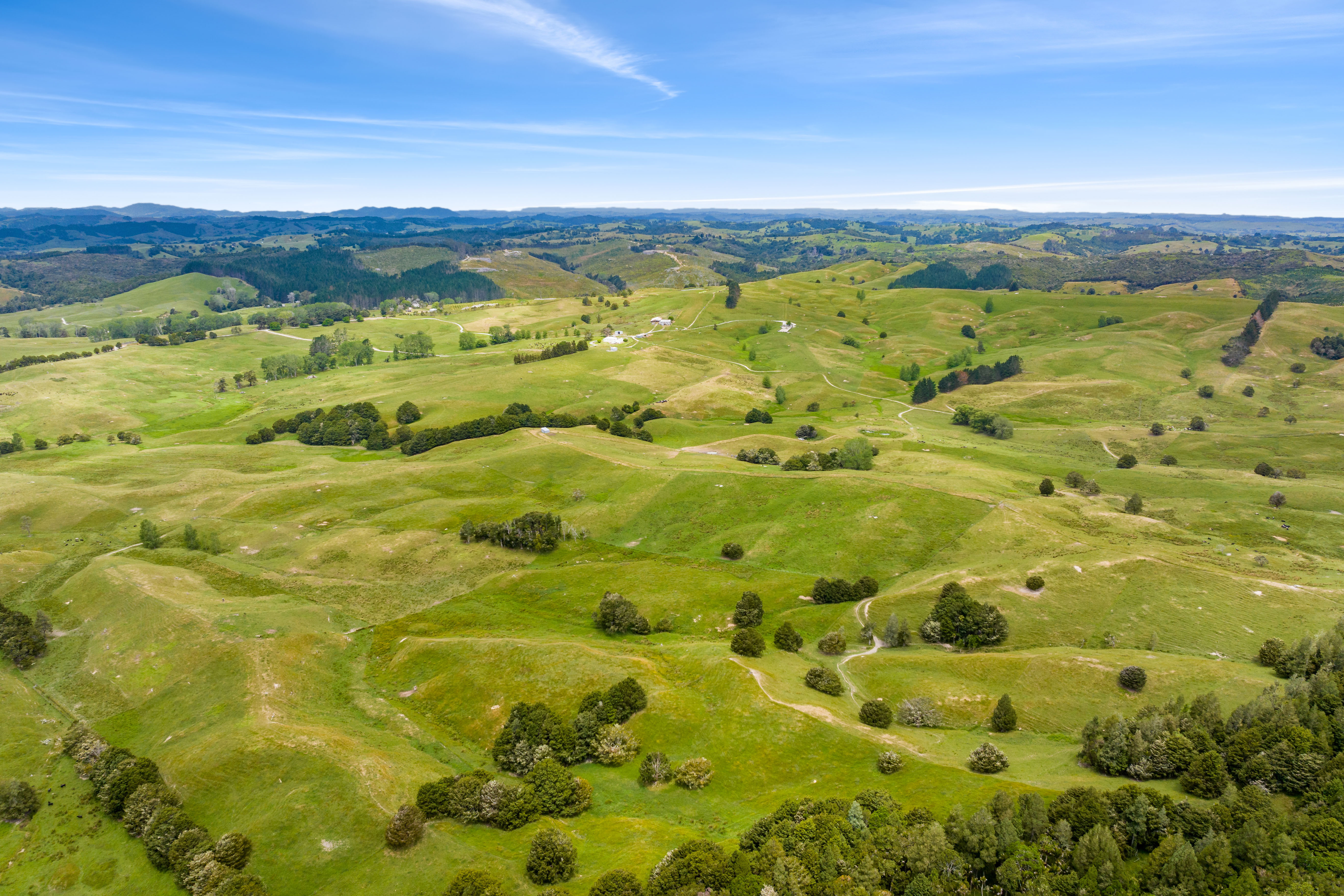 1228a Bull Road, Paparoa, Kaipara, 0 Kuwarto, 0 Banyo, Grazing