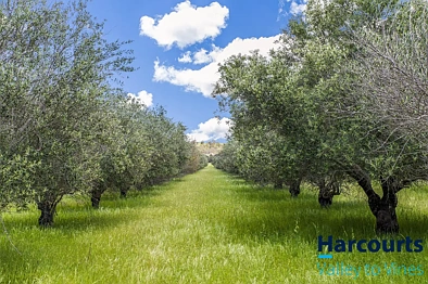 809 Bindoon-Moora Road, Bindoon, WA 6502, 2 Bedrooms, 1 Bathrooms, House
