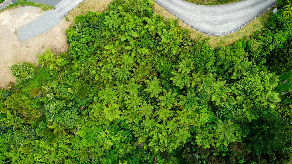 Belmont  Bush Views in Belmont