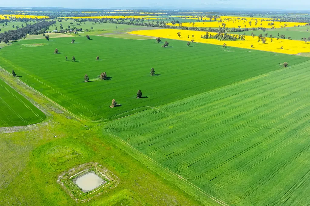Corowa  VERSATILE MIXED FARMING PROPERTY - 1756*Acres/710*Ha.