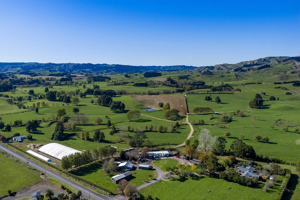 Raglan Dream Dairy