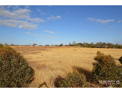 LOT 2 Ramm Road, Mannum, SA 5238, 0 રૂમ, 0 બાથરૂમ, Section