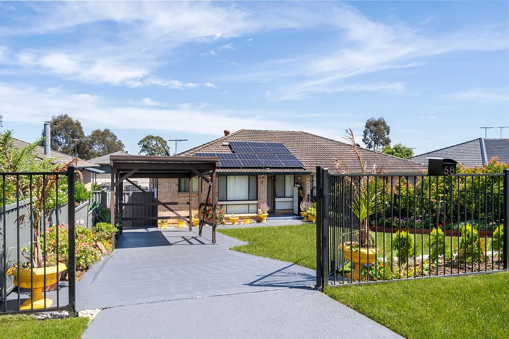 58 Fenton Crescent, Minto, NSW 2566