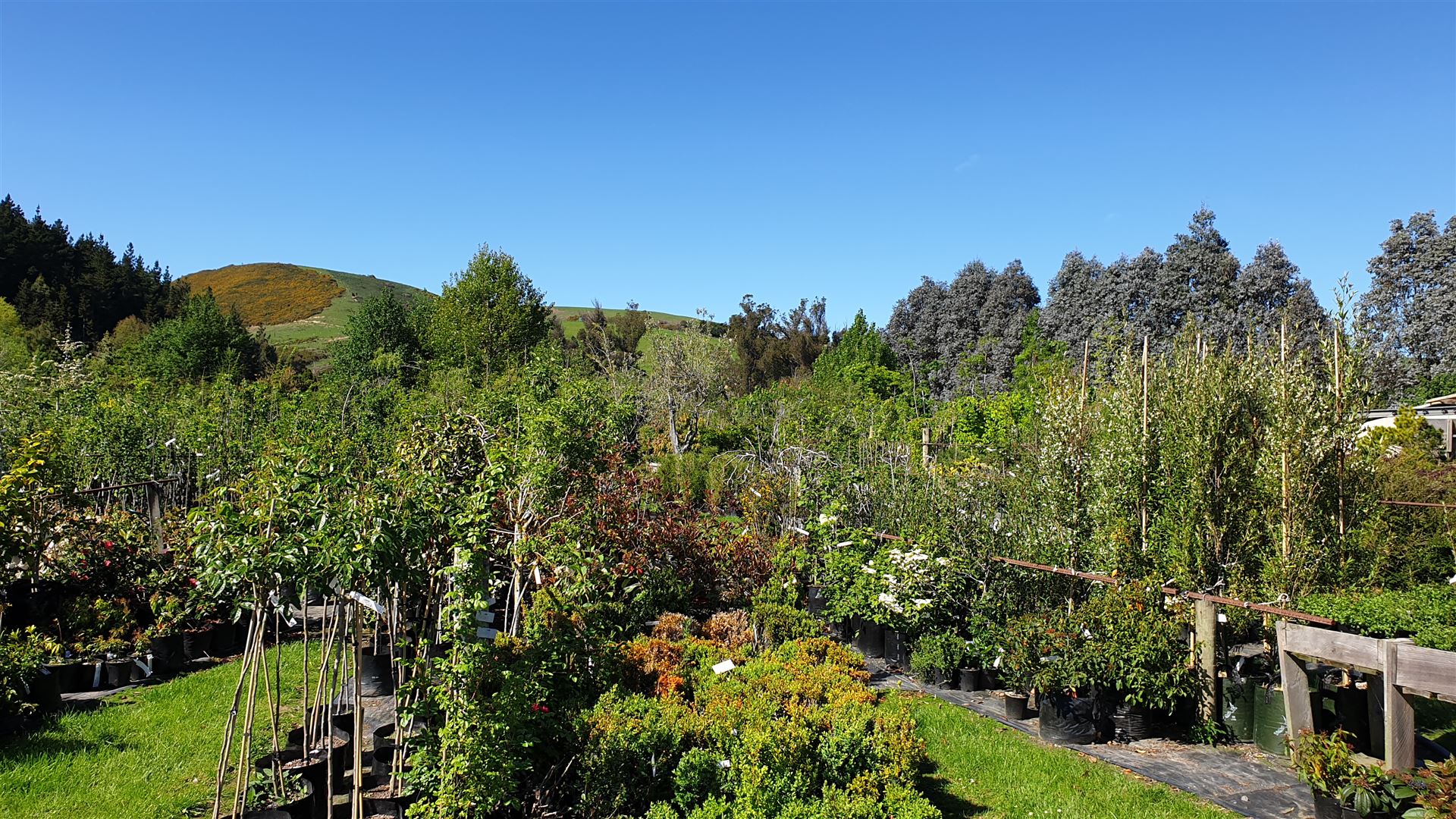 1 Riverside Road, Whataupoko, Gisborne, 5 રૂમ, 0 બાથરૂમ, Unspecified