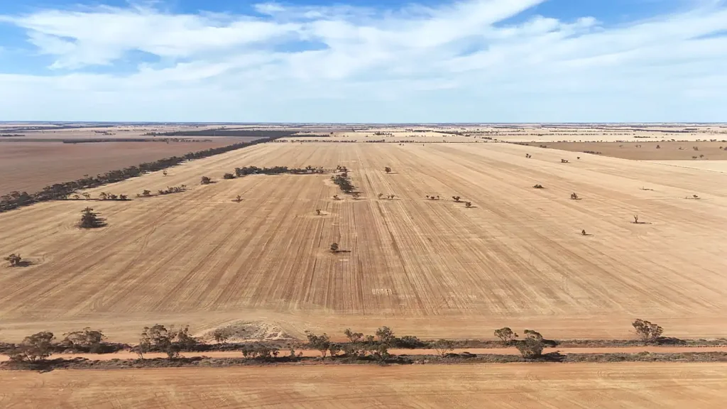 Chinkapook  Cropping or Mixed farming expansion opportunity