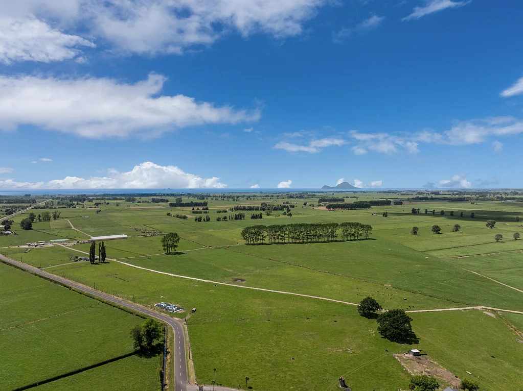 Matata 176ha (STT) Dairy on the Rangitaiki Plains