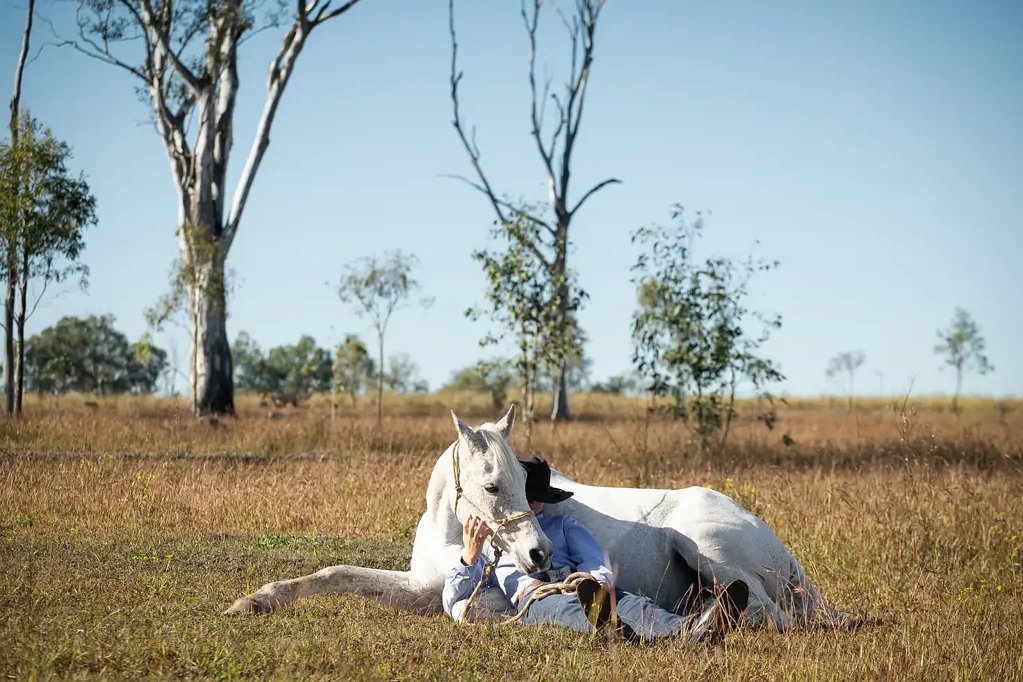 Mutdapilly  20 Acre Off Grid Lifestyle Property Just 15 Mins to Ipswich & Less Than 1 Hour To Brisbane!