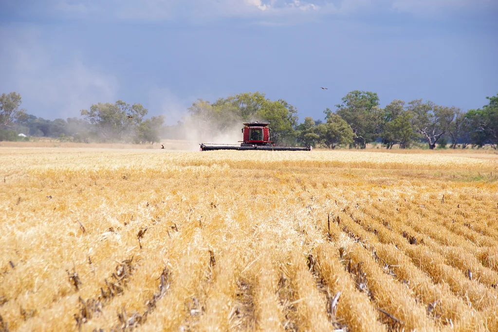 Narrabri Productive & Profitable Base Property