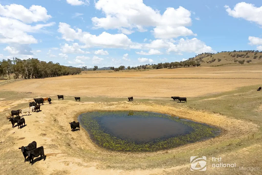 Mudgee  OUTSTANDING FARMING AND GRAZING OPPORTUNITY ON MUDGEE'S DOORSTEP