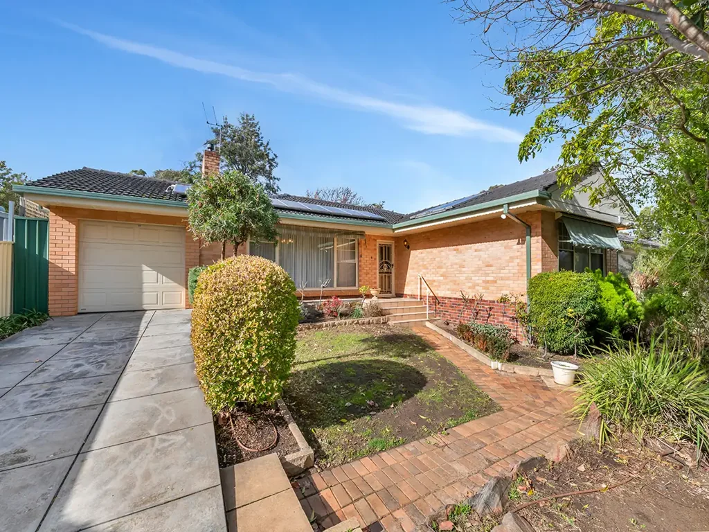 Neat & Tidy in the Foothills of Tea Tree Gully