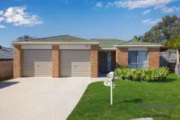 95 Linaria Circuit, Drewvale